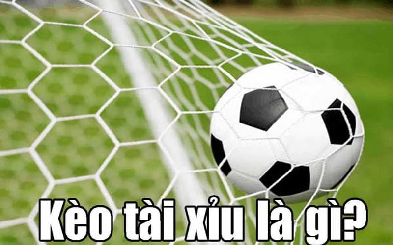 kèo tài xỉu Kèo tài xỉu là gì?