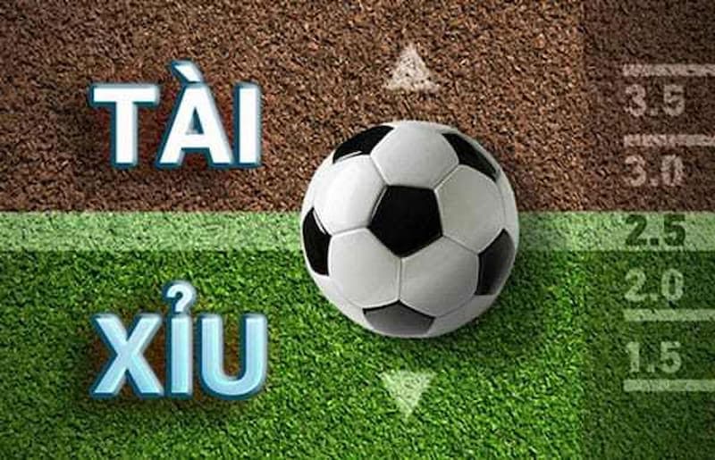 kèo tài xỉu Cách để đọc một vài kèo tài xỉu đang phổ biến